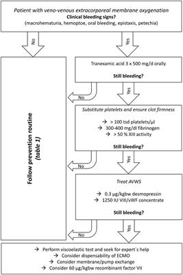 Bleeding During Veno-Venous ECMO: Prevention and Treatment